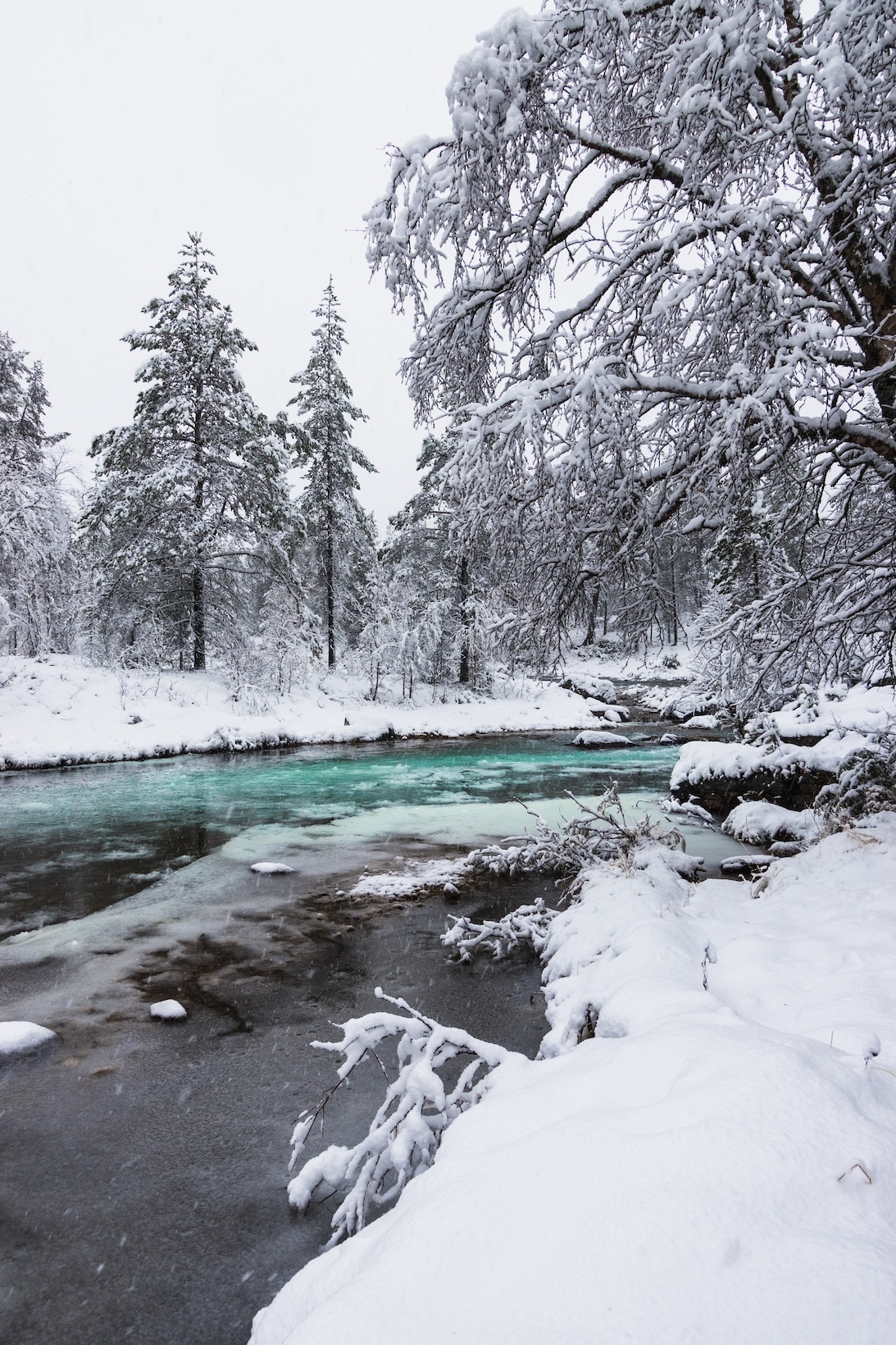 Winter wonderland with fresh powder snow covering the trees around the riverbank with a blue reflections in the ice cold river somewhere in frozen Finnish Lapland, Finland